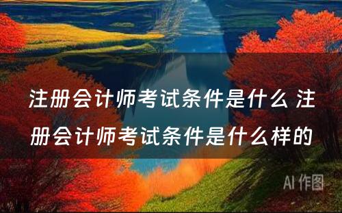 注册会计师考试条件是什么 注册会计师考试条件是什么样的