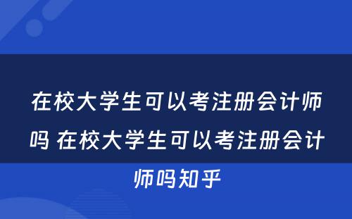 在校大学生可以考注册会计师吗 在校大学生可以考注册会计师吗知乎