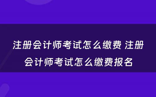 注册会计师考试怎么缴费 注册会计师考试怎么缴费报名