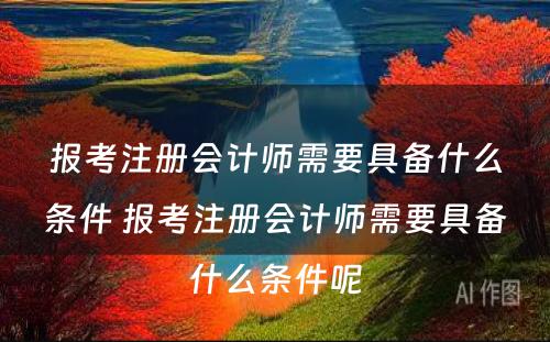 报考注册会计师需要具备什么条件 报考注册会计师需要具备什么条件呢