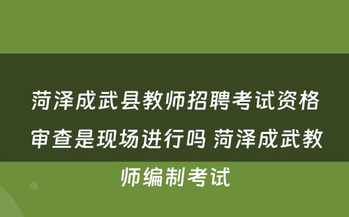 菏泽成武县教师招聘考试资格审查是现场进行吗 菏泽成武教师编制考试