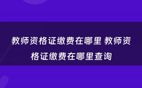 教师资格证缴费在哪里 教师资格证缴费在哪里查询