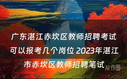 广东湛江赤坎区教师招聘考试可以报考几个岗位 2023年湛江市赤坎区教师招聘笔试