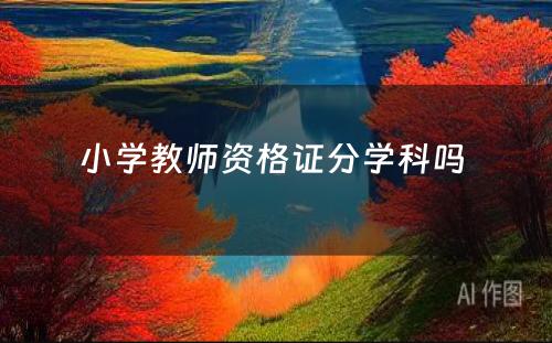 小学教师资格证分学科吗 