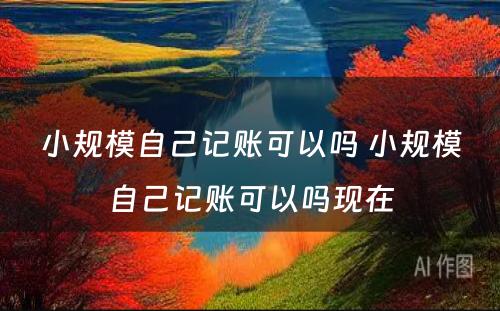 小规模自己记账可以吗 小规模自己记账可以吗现在