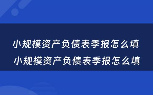 小规模资产负债表季报怎么填 小规模资产负债表季报怎么填