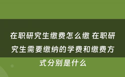 在职研究生缴费怎么缴 在职研究生需要缴纳的学费和缴费方式分别是什么