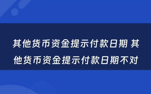 其他货币资金提示付款日期 其他货币资金提示付款日期不对