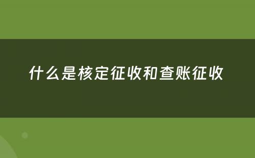 什么是核定征收和查账征收 