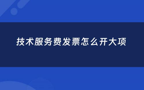 技术服务费发票怎么开大项 
