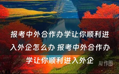 报考中外合作办学让你顺利进入外企怎么办 报考中外合作办学让你顺利进入外企