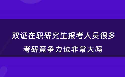  双证在职研究生报考人员很多考研竞争力也非常大吗