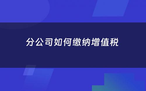 分公司如何缴纳增值税 