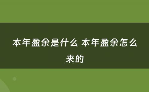 本年盈余是什么 本年盈余怎么来的