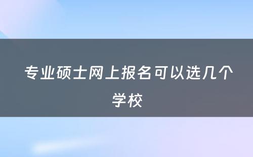  专业硕士网上报名可以选几个学校