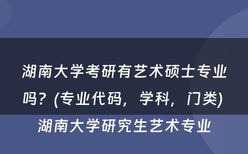 湖南大学考研有艺术硕士专业吗？(专业代码，学科，门类) 湖南大学研究生艺术专业