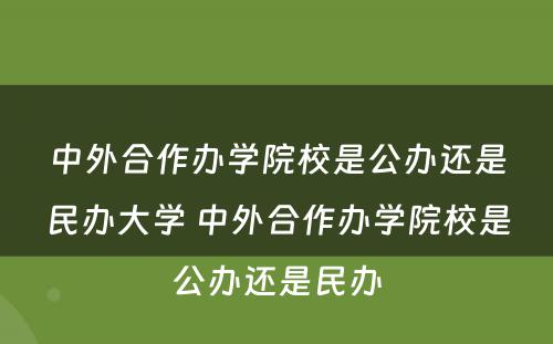 中外合作办学院校是公办还是民办大学 中外合作办学院校是公办还是民办