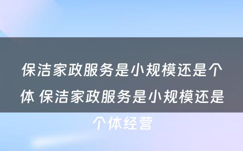 保洁家政服务是小规模还是个体 保洁家政服务是小规模还是个体经营