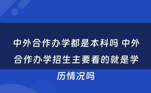 中外合作办学都是本科吗 中外合作办学招生主要看的就是学历情况吗