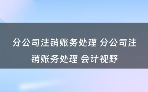 分公司注销账务处理 分公司注销账务处理 会计视野