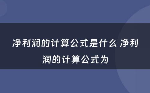 净利润的计算公式是什么 净利润的计算公式为