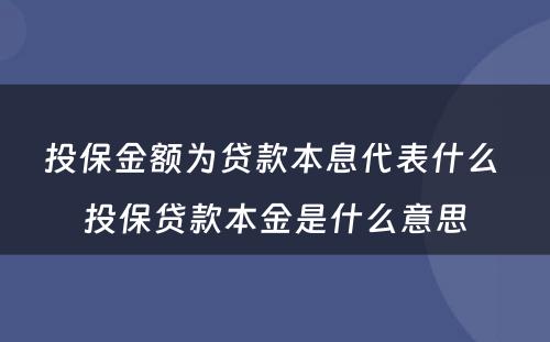 投保金额为贷款本息代表什么 投保贷款本金是什么意思