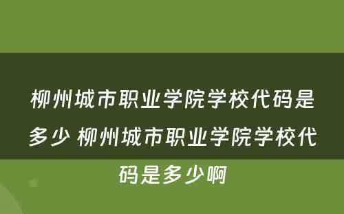 柳州城市职业学院学校代码是多少 柳州城市职业学院学校代码是多少啊