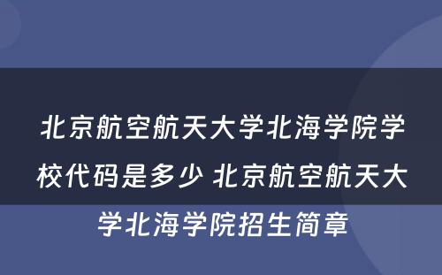 北京航空航天大学北海学院学校代码是多少 北京航空航天大学北海学院招生简章