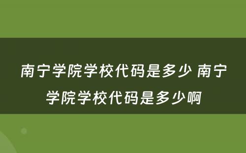南宁学院学校代码是多少 南宁学院学校代码是多少啊