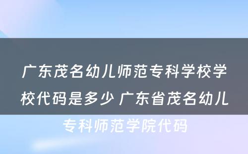 广东茂名幼儿师范专科学校学校代码是多少 广东省茂名幼儿专科师范学院代码