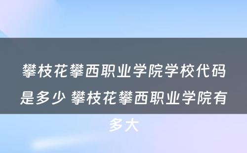 攀枝花攀西职业学院学校代码是多少 攀枝花攀西职业学院有多大