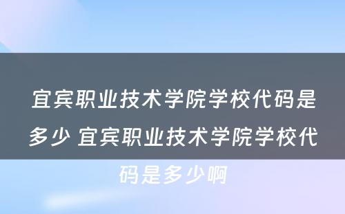 宜宾职业技术学院学校代码是多少 宜宾职业技术学院学校代码是多少啊