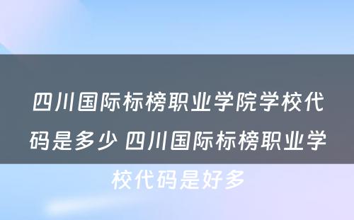 四川国际标榜职业学院学校代码是多少 四川国际标榜职业学校代码是好多