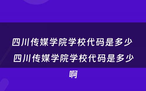 四川传媒学院学校代码是多少 四川传媒学院学校代码是多少啊