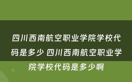 四川西南航空职业学院学校代码是多少 四川西南航空职业学院学校代码是多少啊