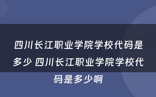 四川长江职业学院学校代码是多少 四川长江职业学院学校代码是多少啊