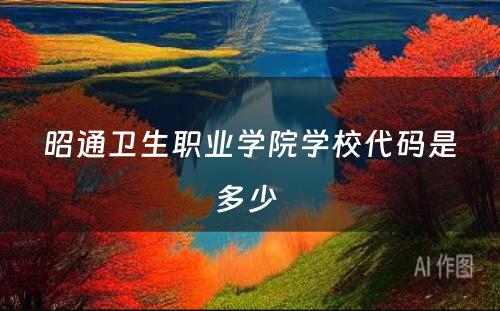 昭通卫生职业学院学校代码是多少 