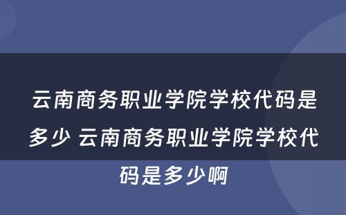 云南商务职业学院学校代码是多少 云南商务职业学院学校代码是多少啊