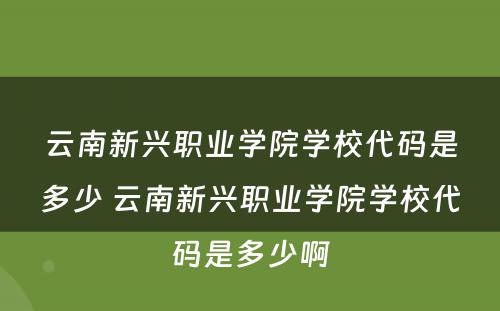 云南新兴职业学院学校代码是多少 云南新兴职业学院学校代码是多少啊