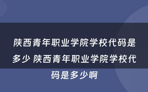 陕西青年职业学院学校代码是多少 陕西青年职业学院学校代码是多少啊