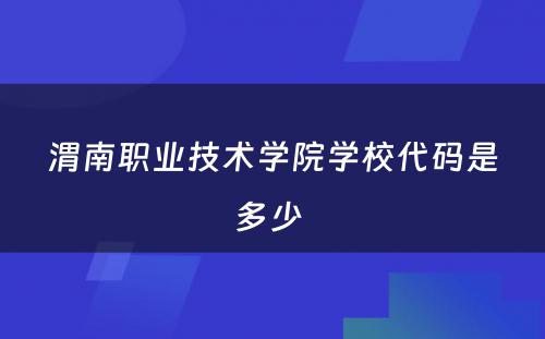 渭南职业技术学院学校代码是多少 