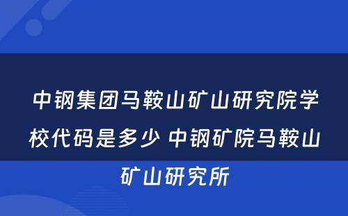 中钢集团马鞍山矿山研究院学校代码是多少 中钢矿院马鞍山矿山研究所
