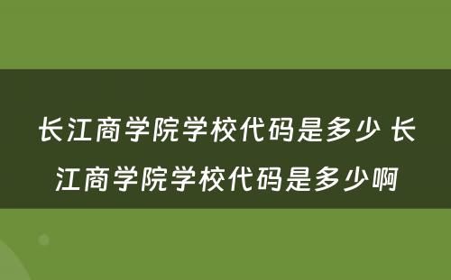 长江商学院学校代码是多少 长江商学院学校代码是多少啊