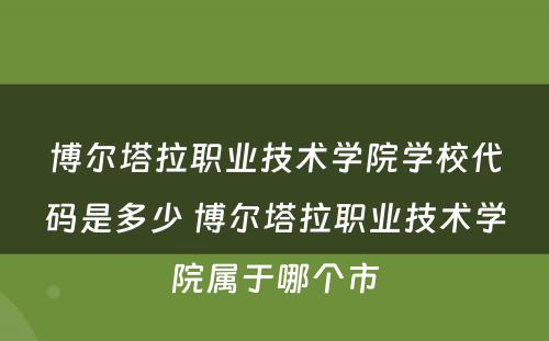 博尔塔拉职业技术学院学校代码是多少 博尔塔拉职业技术学院属于哪个市