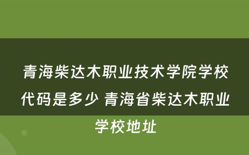 青海柴达木职业技术学院学校代码是多少 青海省柴达木职业学校地址