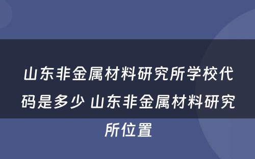 山东非金属材料研究所学校代码是多少 山东非金属材料研究所位置
