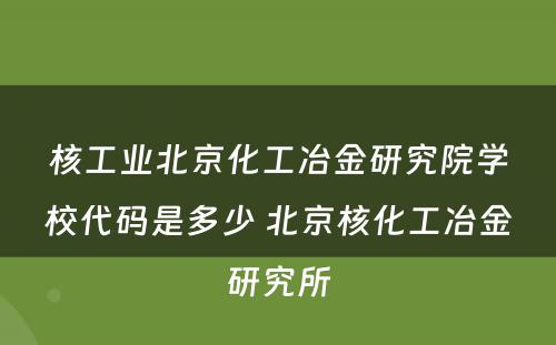 核工业北京化工冶金研究院学校代码是多少 北京核化工冶金研究所