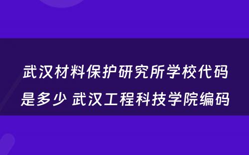 武汉材料保护研究所学校代码是多少 武汉工程科技学院编码