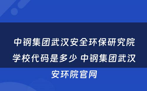 中钢集团武汉安全环保研究院学校代码是多少 中钢集团武汉安环院官网