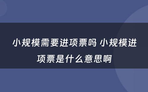 小规模需要进项票吗 小规模进项票是什么意思啊